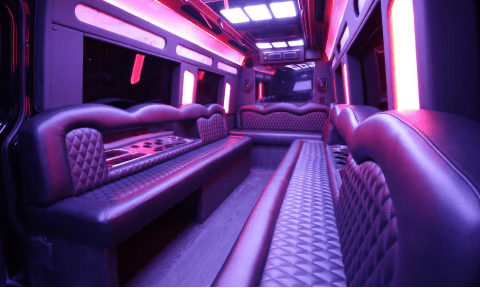Dallas 14 Passenger Sprinter Bus Interior